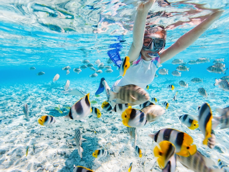 Snorkeling